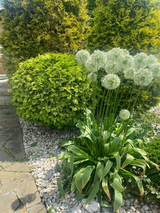 Від власника!Здається будинок 220м2генератором