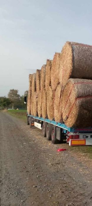 Słoma 160 cm po prasie lely