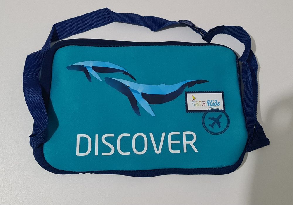 Conjunto de avião.  Sata. Novo