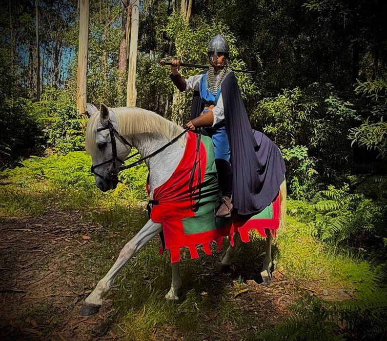 Cavalo Lusitano Cruzado