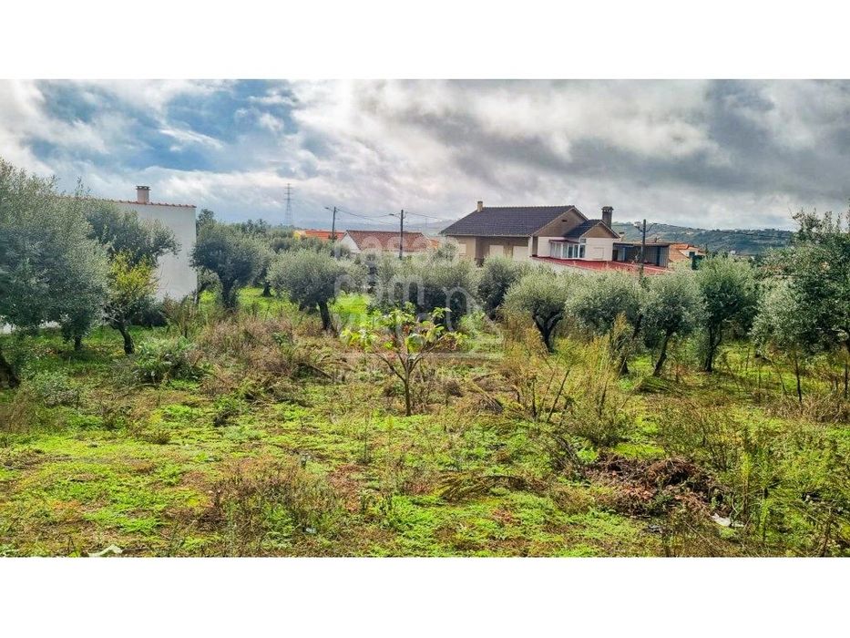 Terreno com Viabilidade de Construção - 456 m² | Próximo de Leiria