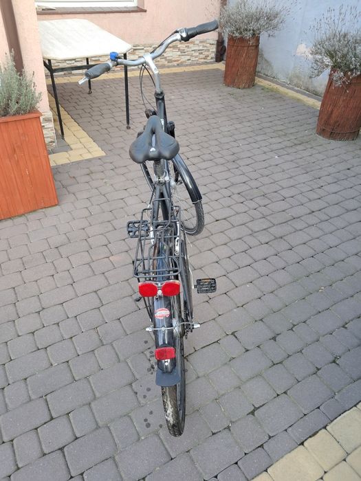 Rower męski Pegazus