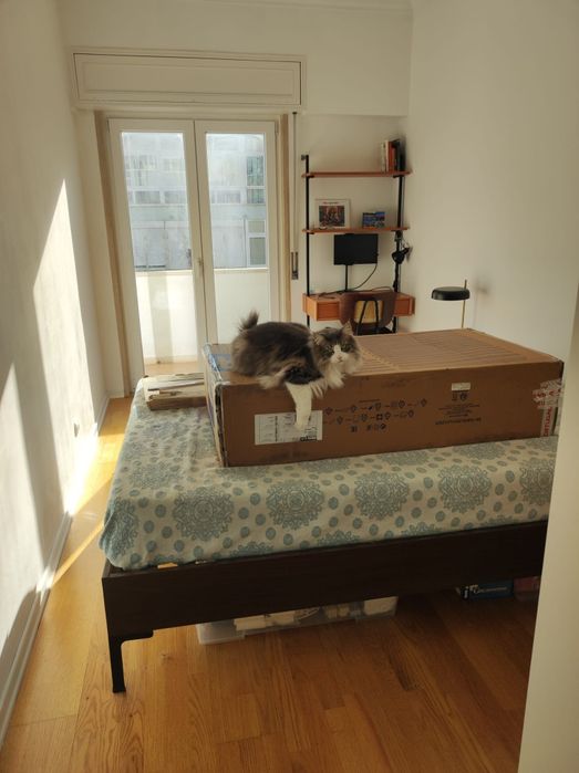 Cama casal ikea + estrado