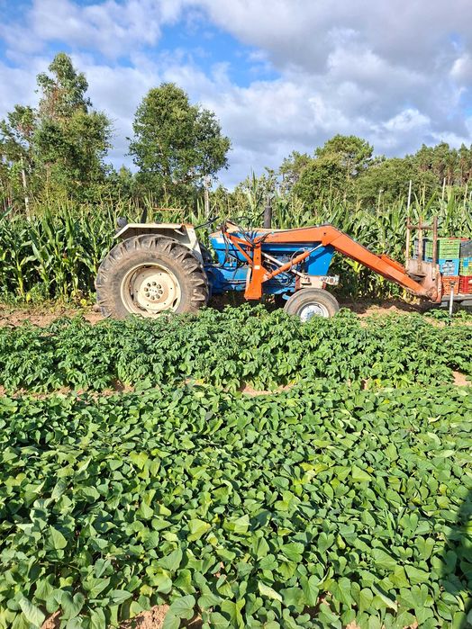 Ford 6600 Com Frontal