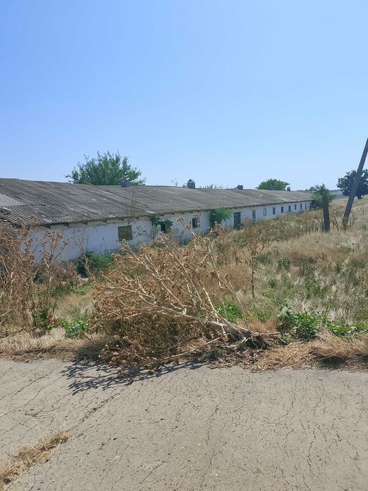 С/Х ферма(Свиноферма)