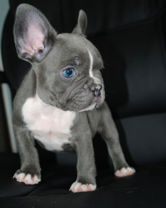 Шикарная девочка ждёт семью