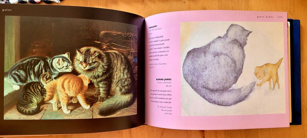 Gatos Selvagens e Felinos Mimados