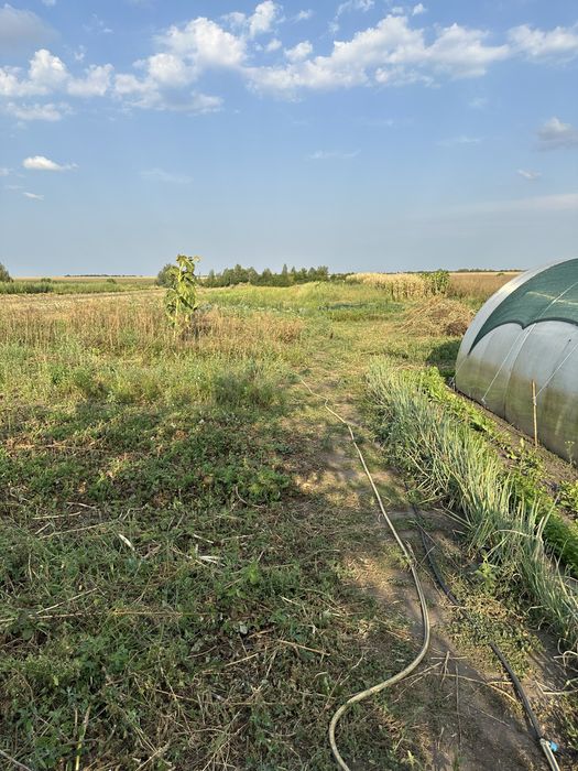 Продається дом в с.Ксаверівка, 48 соток землі, до Києва м.Теремки-40км
