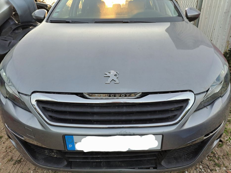 Peças para Peugeot 106/206/207/307/308/406/407/1007/4007/5008/e outros