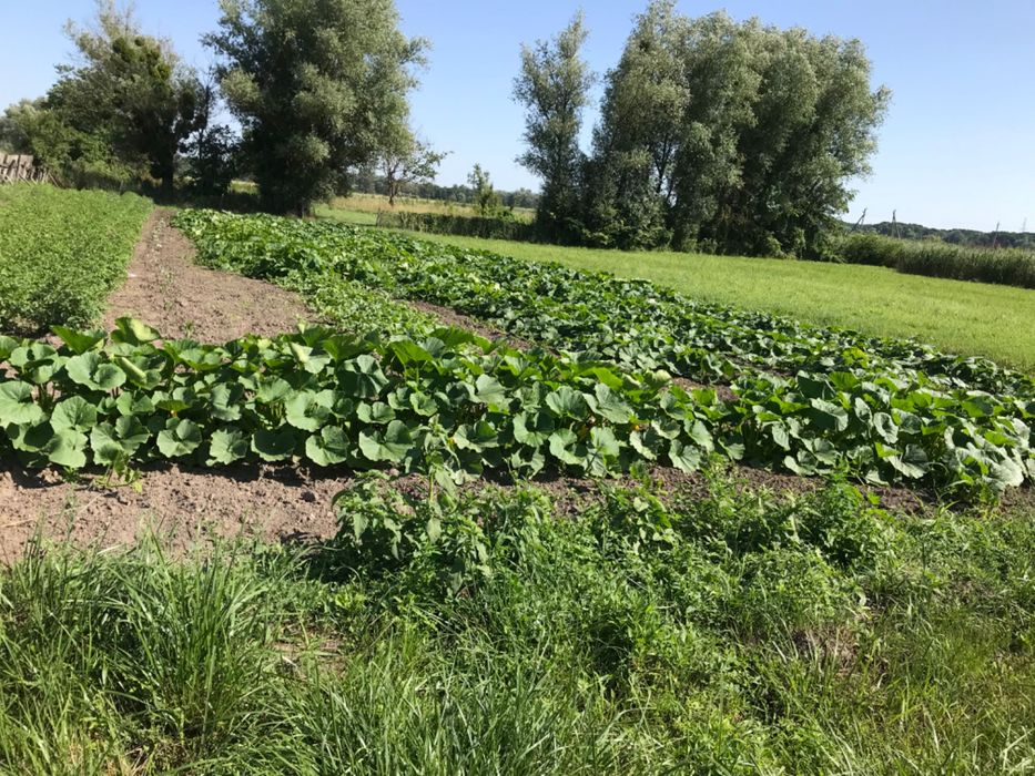 Будинок без внутрішніх робіт