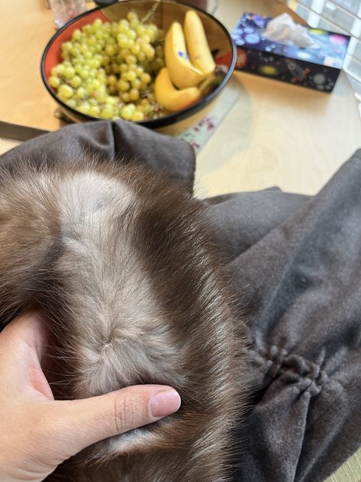 Продам парку шерстяну з натуральною норкою Blaser