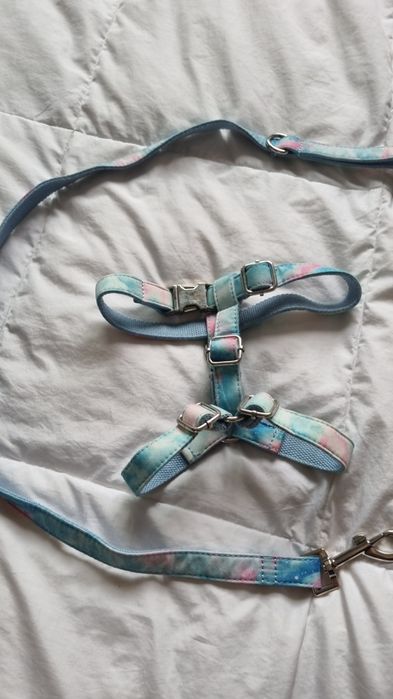 Peitoral arco-iris + trela conjunto