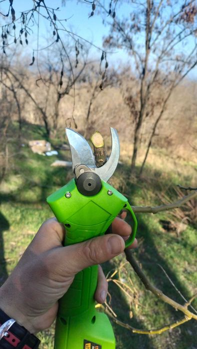 Садовый секатор аккумуляторный Pro Craft AS16Li