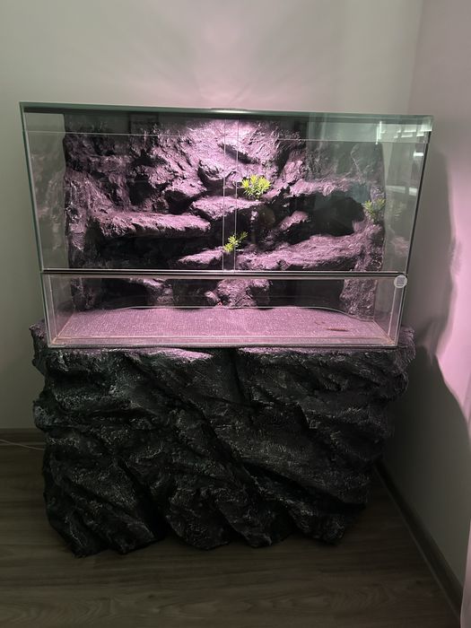 Terrarium 80x50x40