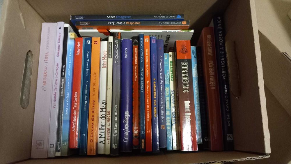 Lote 4 - LIVROS Diversos - Vendidos Individualmente - Em Separado