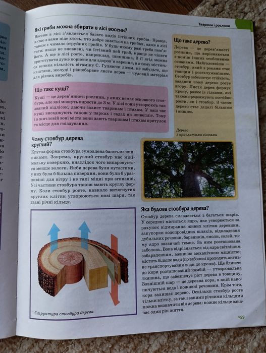 Енциклопедія нова та бу. Авто