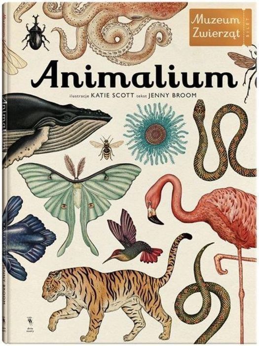 Animalium wyd.3 Dwie Siostry Jenny Broom, Katie Scott Rok wydania: 201