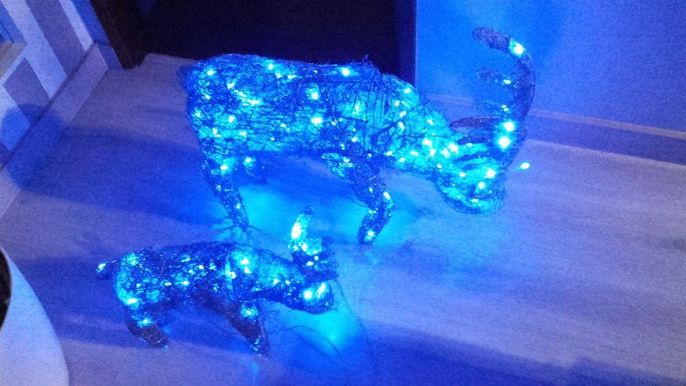 Renas de Natal com led