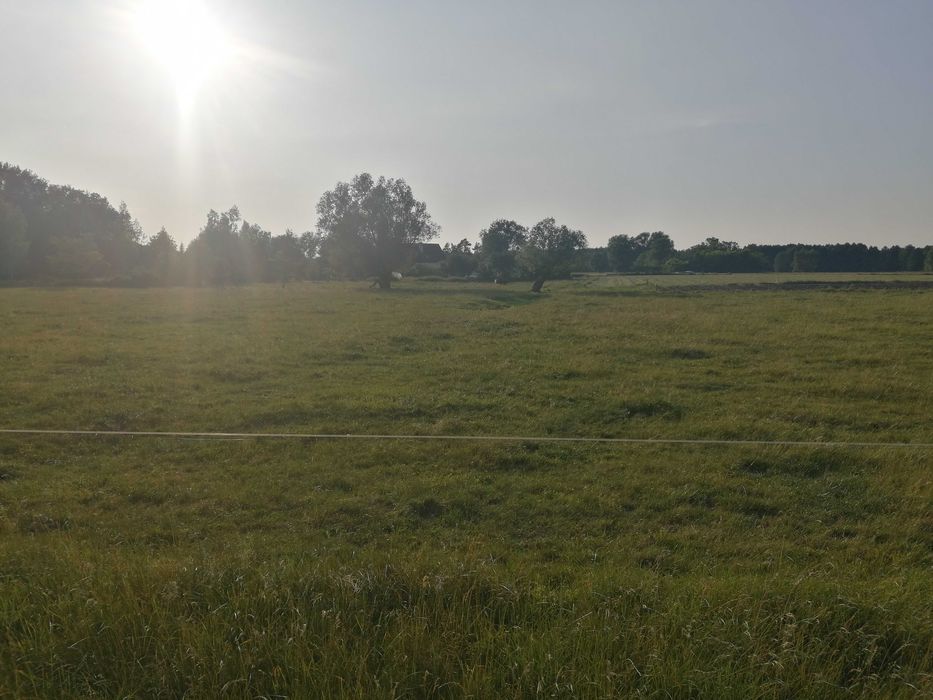 1 h 2 duże działki ładna okolica