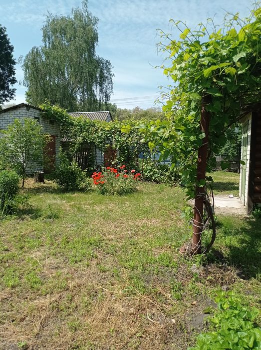 Гарненький будиночок недалеко від міста в селі Піски.