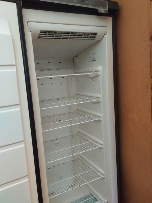 Arca Congeladora Vertical Electrolux cromada