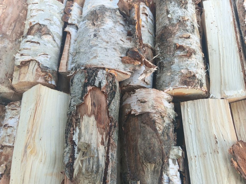 Brzoza. Opał, drewno kominkowe. Możliwość transportu.