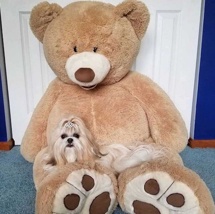 Urso de peluche gigante (130 cm) Teddy Bear