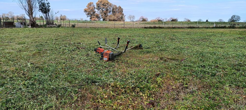 Corte de árvores/ limpeza de terrenos
