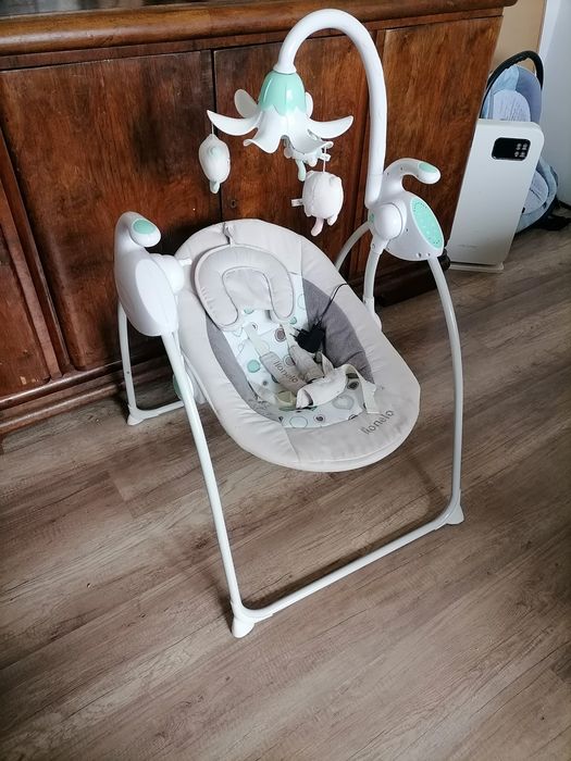 Bujaczek Lionelo, sieciowy