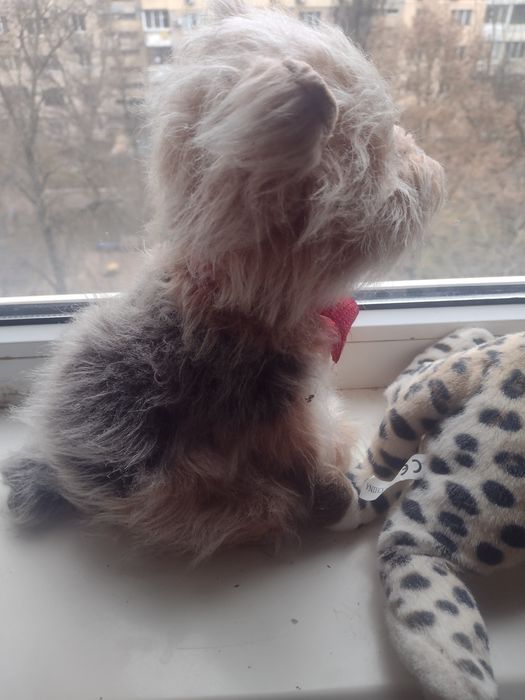 Реалистичные игрушки. Развивашки