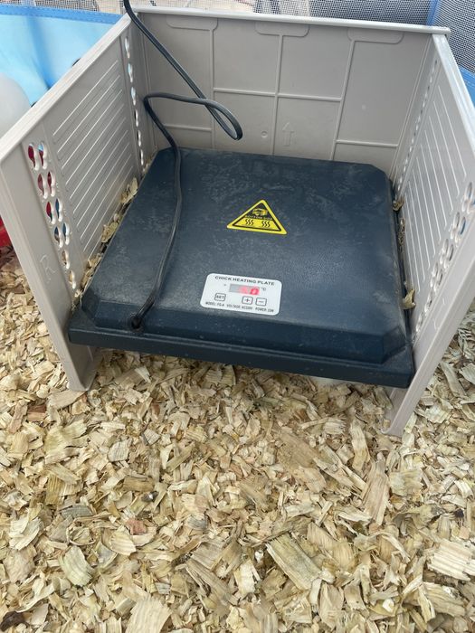Protecao placa pintos