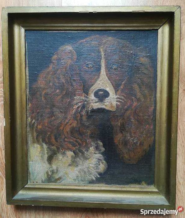 Obraz olejny W. HASIOR - Portret psa