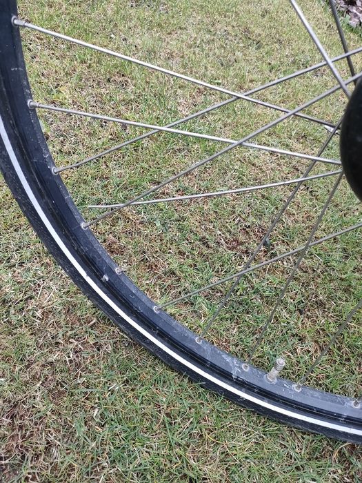 Rower gazelle męski