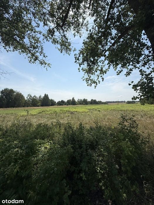 Sępochów | Mpzp | rolna | pod siedlisko | - Widok 2