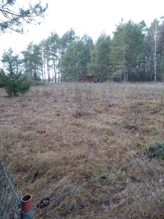 Działka rekreacyjno - rolna i dodatkowo las