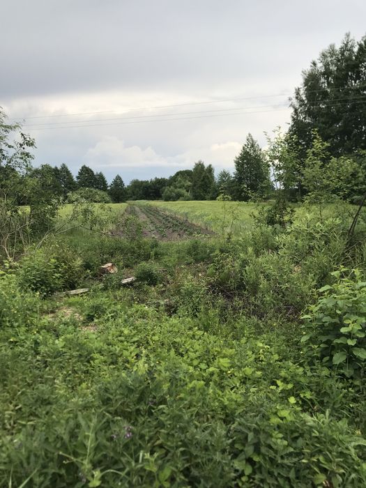 продам будинок на початку рокити