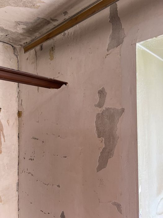 ‼️ПЛЕСЕНЬ Удаление Грибка Знищення Плісняви Запахів Сирості Озоном