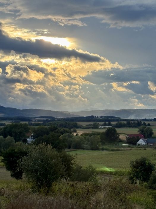 Plener rysunkowo-malarski w Mościsku