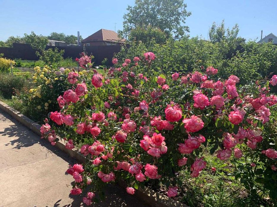 House by the address st. Lyustdorfskaya dor Chernomorskaya dor (area 98 m²) - Atlanta.ua - photo 19