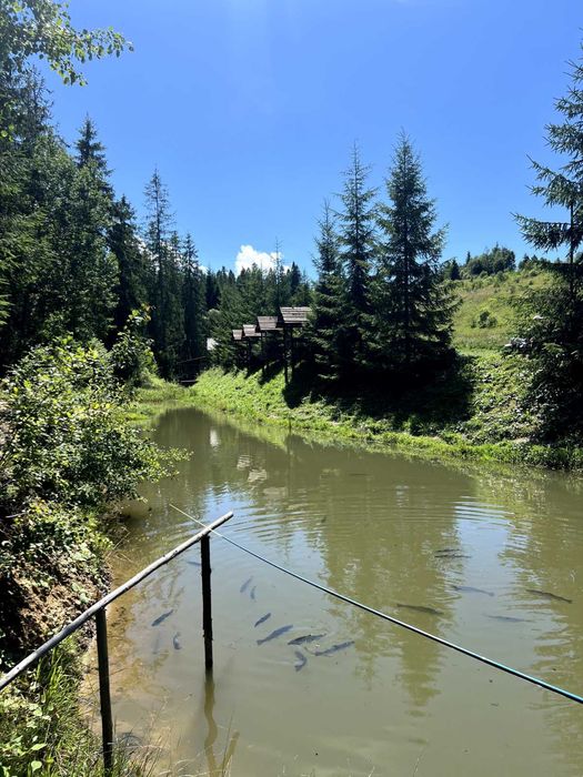 Окремий будинок.Чан .Басейн .Оренда Славське Відпочинок Карпатах.Житло