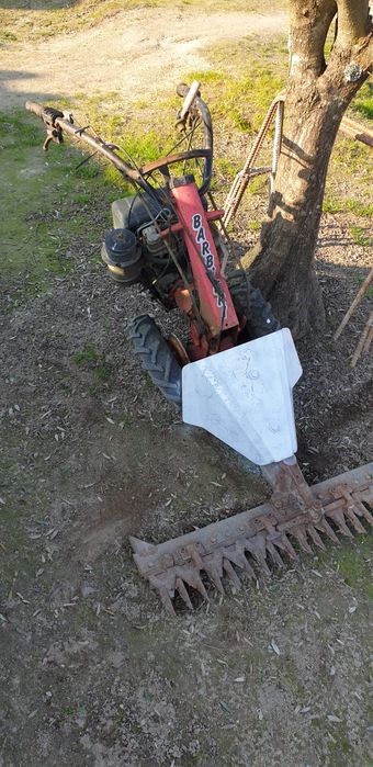 Ceifeira barbieri gasóleo