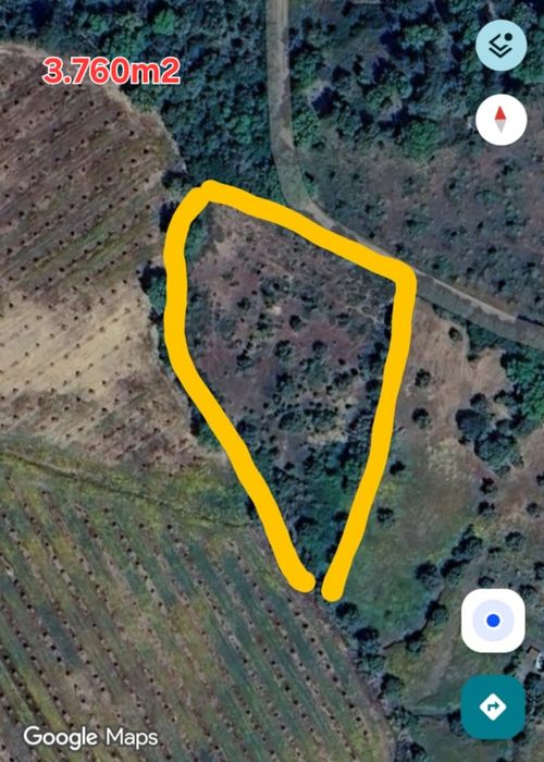Terreno rústico 3.760m2  (Vinha e Oliveiras)