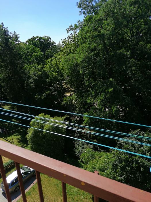 Mieszkanie do wynajecia 38m2