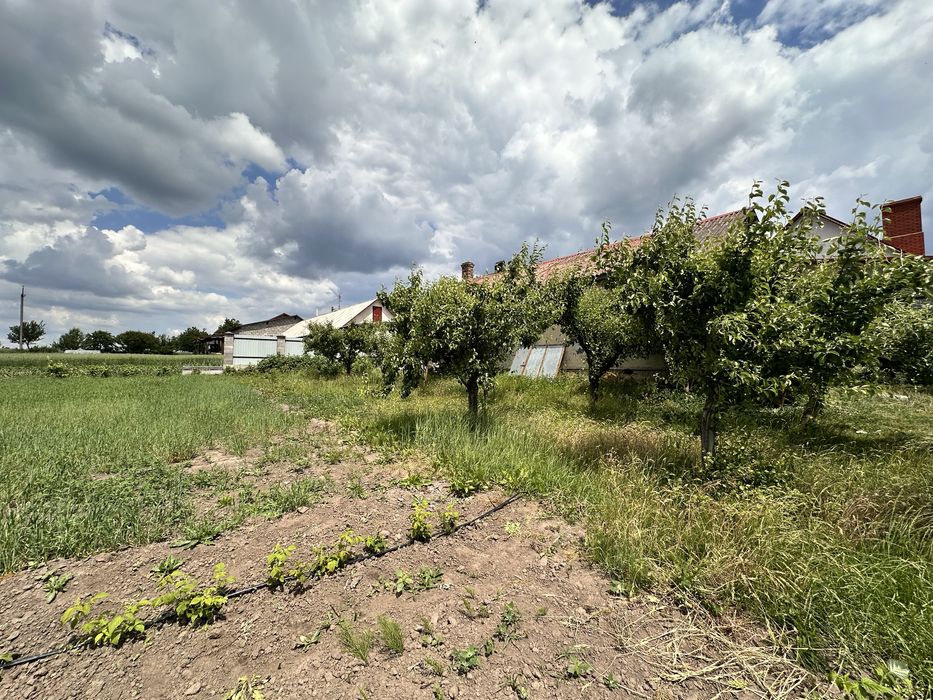 Продаж будинку БЕЗ КОМІСІЇ / с. Верба
