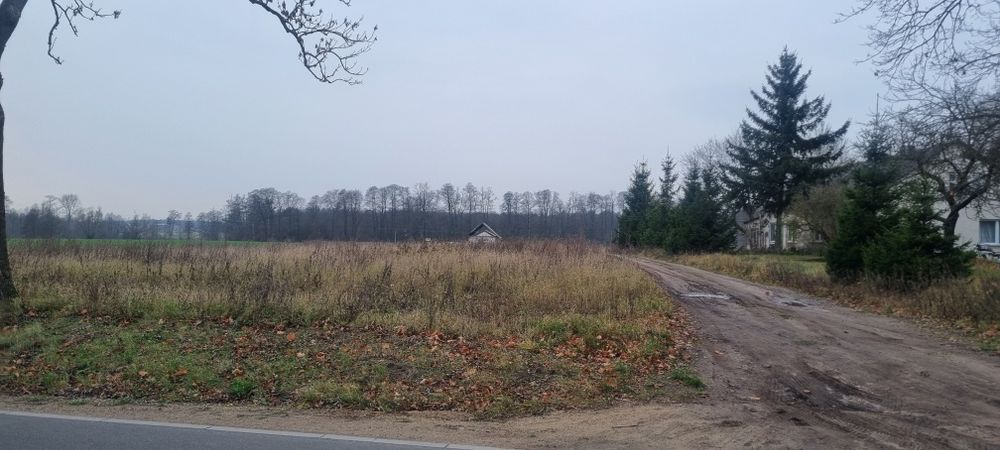 Działka budowlana przy drodze Działdowo Księży dwór 1356 m² - Widok 5
