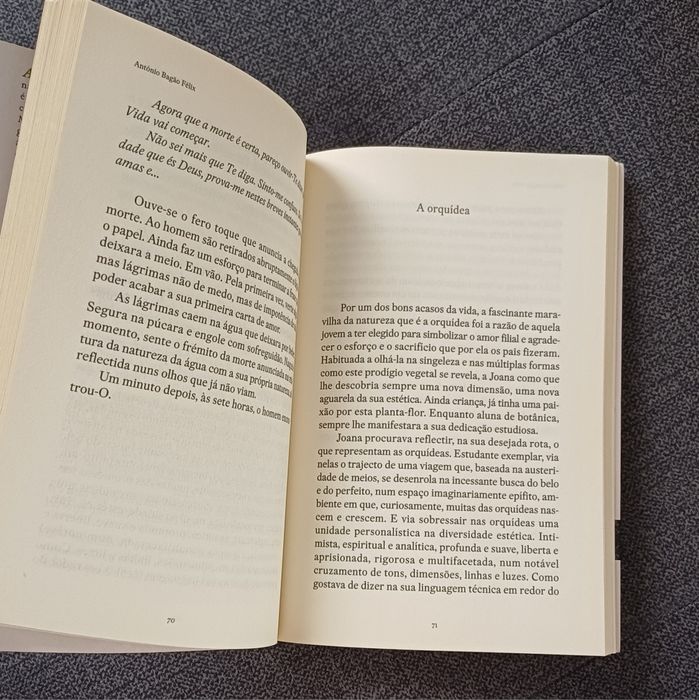 O cacto e a rosa (António Bagão Felix)