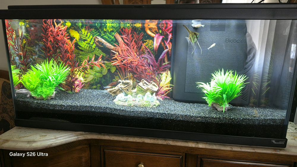 Aquario Aquatlantis