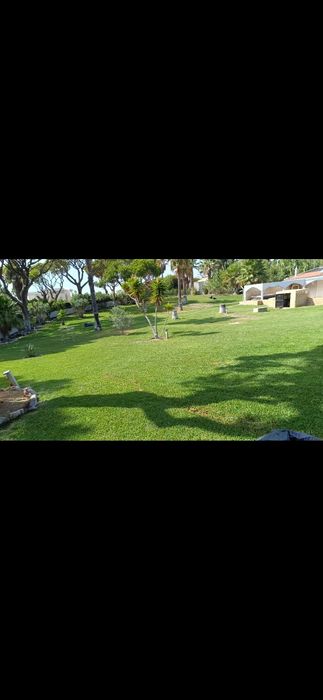 Manutenção Jardins & Piscinas | Garden & Pool Maintenance 
 Jardins &