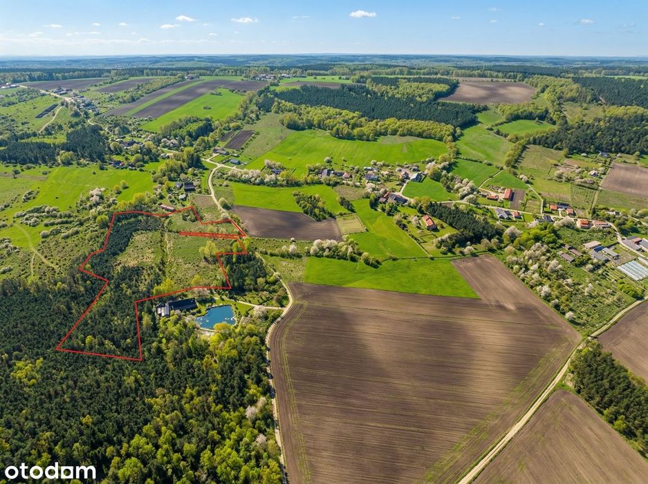 Kompleks 5 działek 3,87 ha | przy drodze | okolice Żagania
