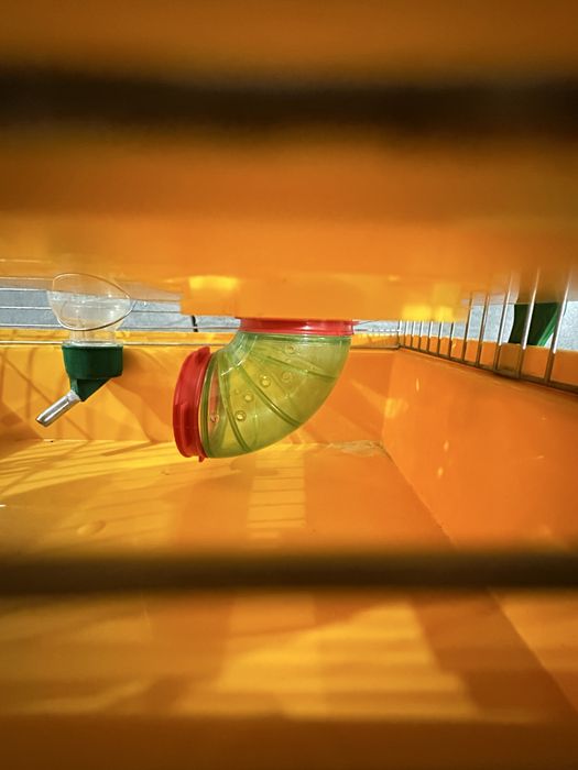 Клітка для гризуна